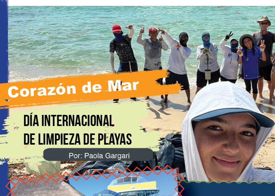 Día internacional de Limpieza de Playas