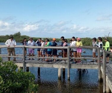 Punta Sur en Cozumel, un aula al aire libre para estudiantes