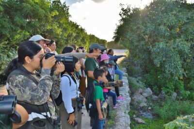 Observación de aves en Punta Sur en el marco del “Día Mundial de las Aves Migratorias” 
