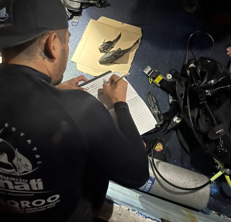 Capturan e investigan al pez diablo en Bacalar: IBANQROO