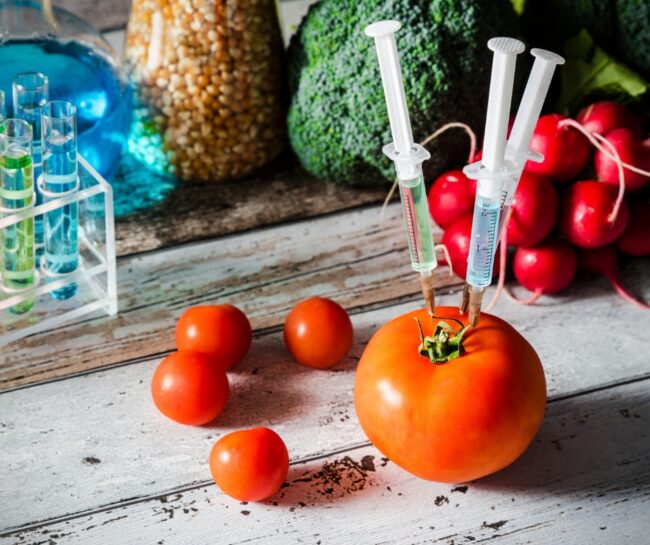 Alimentos transgénicos
