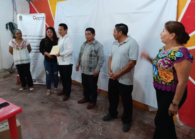 Taller sobre manejo de abejas meliponas fortalece la cultura maya con apoyo de INMAYA y la Dirección de Asuntos Indígenas.