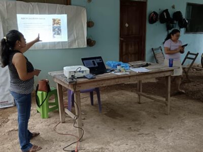 la cultura en Quintana Roo, abejas meliponas