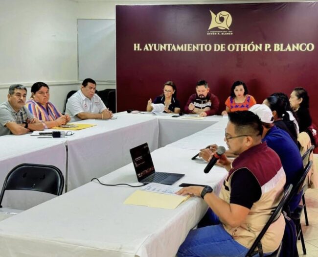 INMAYA participa en la Comisión de Asuntos Indígenas y Afromexicanos donde presentan la iniciativa “Intérprete Maya”