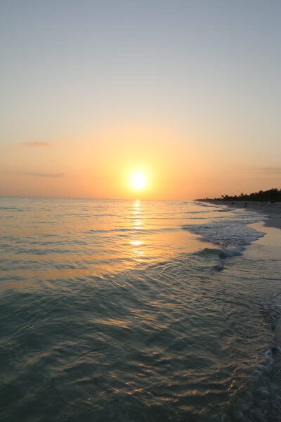 El mar Caribe nos da vida, consuelo y belleza. Este 8 de junio, recordemos por qué es vital protegerlo desde el corazón de Cancún..
