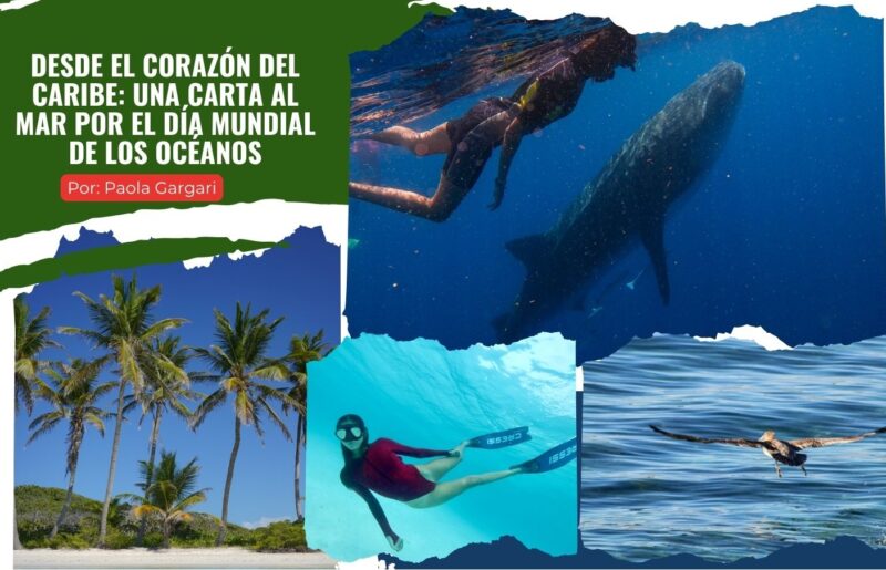 Desde el corazón del Caribe: Una carta al mar Desde el corazón del Caribe: Una carta al mar