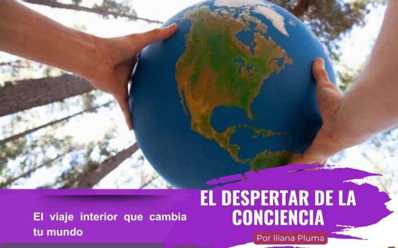 El despertar de la conciencia El despertar de la conciencia