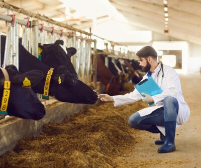 En Prepa, ¿y luego qué? Te contamos sobre este tema
