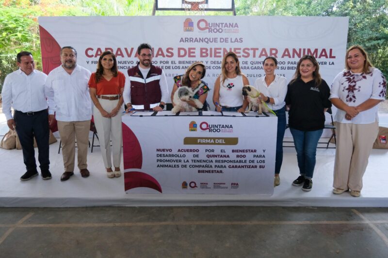 Caravanas de Bienestar Animal: arrancan las primeras jornadas Caravanas de Bienestar Animal: arrancan las primeras jornadas