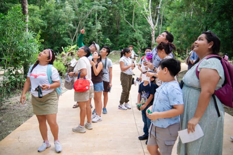 Descubriendo las Alas de Cozumel: Avifauna de la Isla Descubriendo las Alas de Cozumel: Avifauna de la Isla