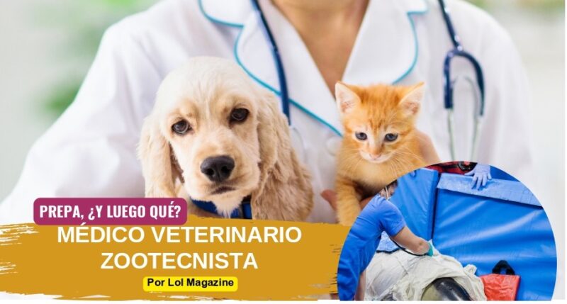 MÉDICO VETERINARIO ZOOTECNISTA MÉDICO VETERINARIO ZOOTECNISTA