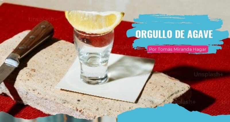 Orgullo de Agave Orgullo de Agave