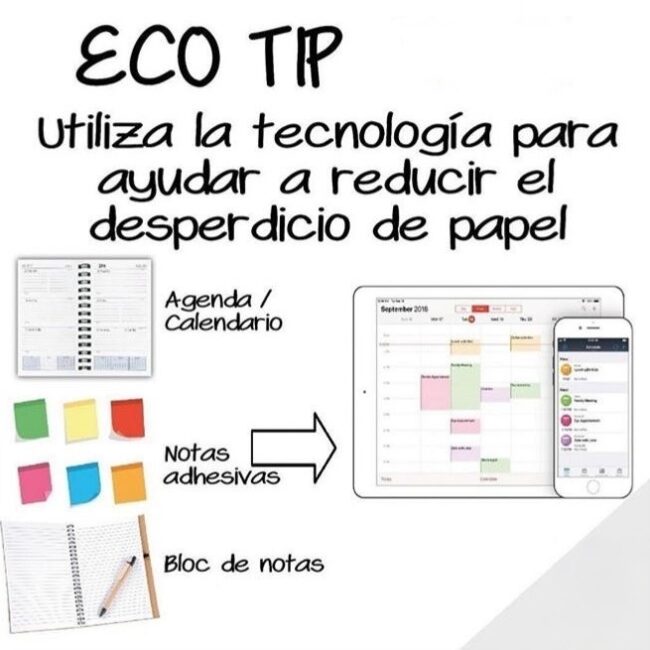 Regreso a clases con conciencia. Cada nuevo ciclo escolar representa una oportunidad: no solo para aprender más y crecer como personas ...