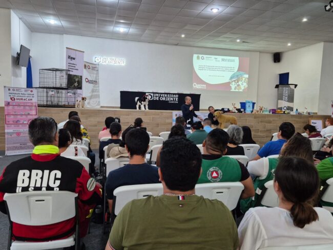 Quintana Roo se prepara para la temporada de huracanes 2025 con refugios temporales para la protección a perros y gatos.