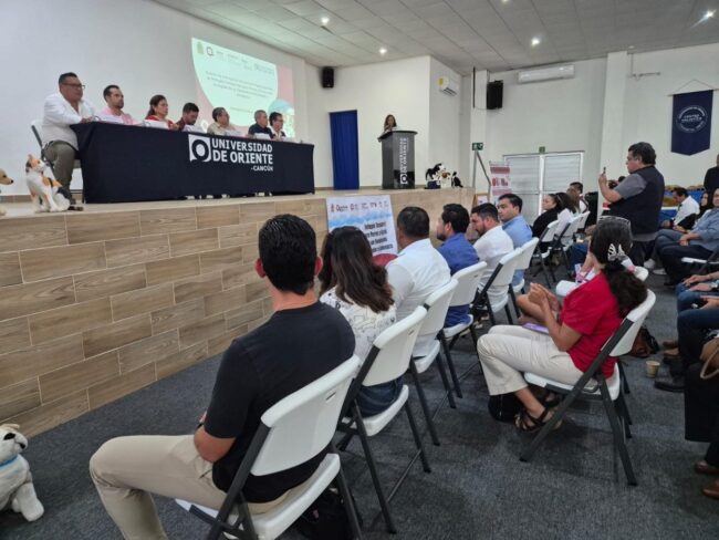 Quintana Roo se prepara para la temporada de huracanes 2025 con refugios temporales para la protección a perros y gatos.