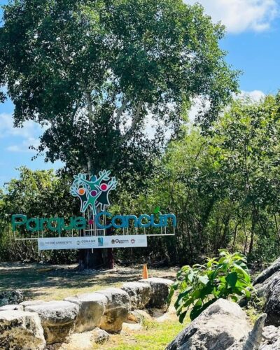 Durante todo agosto, el parque ofrece talleres gratuitos 