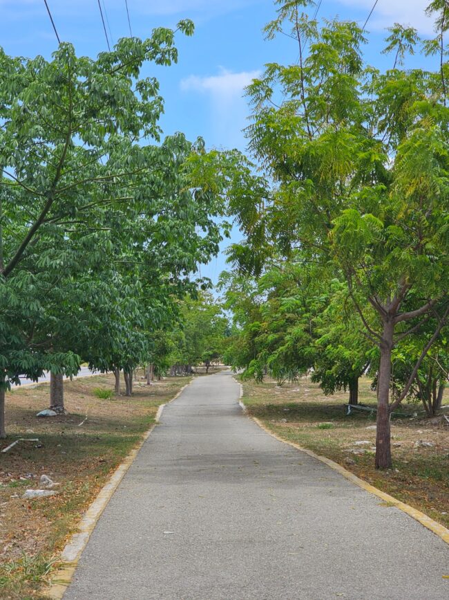 Avenida Huayacán Cancún