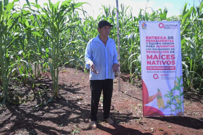 Entrega de herramientas del INMAYA a productoras de maíz en la Comunidad de Tepich