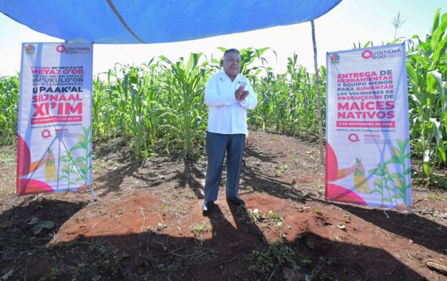 Entrega de herramientas del INMAYA a productoras de maíz en la Comunidad de Tepich