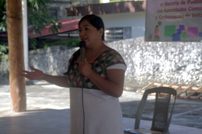 Foro de difusión y análisis artículo 2° constitucional determinación pueblos originarios INMAYA