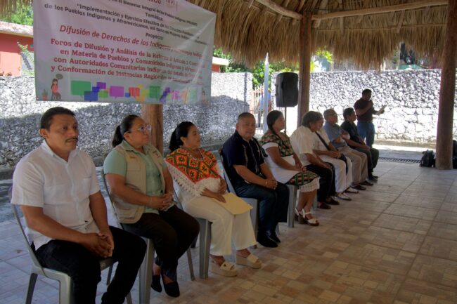 Foro de difusión y análisis artículo 2° constitucional determinación pueblos originarios INMAYA