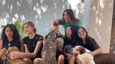 eventos benéficos