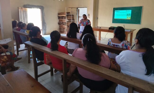 INMAYA impulsa el empoderamiento femenino y los derechos de las mujeres indígenas en Quintana Roo, promoviendo igualdad...