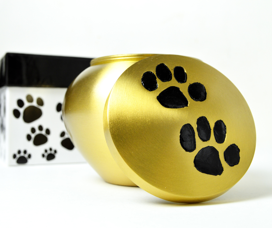 Crea PPA catálogo para reconocer mascotas víctimas de Xibalbá Crea PPA catálogo para reconocer mascotas víctimas de Xibalbá