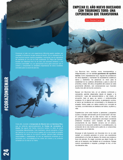 Empezar el año nuevo buceando con tiburones toro_ una experiencia que transforma