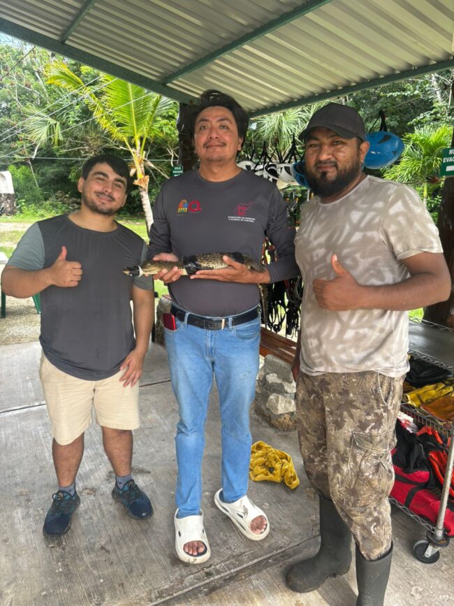 Resultados de la FPMC en rescate y protección de fauna silvestre en Cozumel durante 2025, con 180 acciones y apoyo ciudadano.