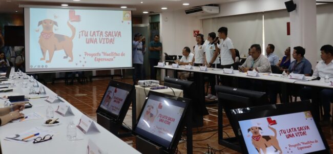 Adolescentes agentes de cambio