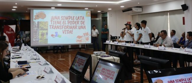 SIPINNA, Primera sesión