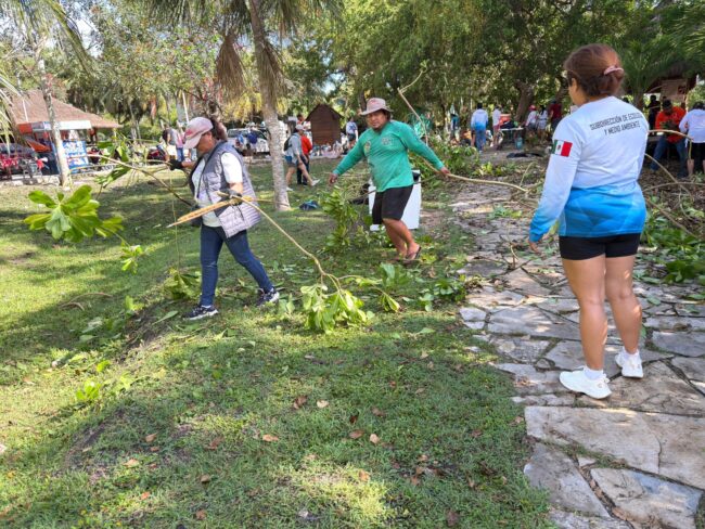 Lechuga de mar en el Parque Ecológico Estatal Laguna de Bacalar: acciones de IBANQROO contra especies invasoras y conservación de ecosistemas