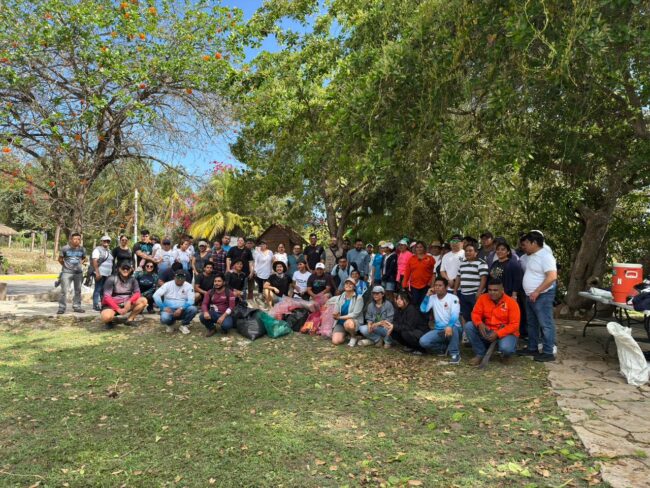 Lechuga de mar en el Parque Ecológico Estatal Laguna de Bacalar: acciones de IBANQROO contra especies invasoras y conservación de ecosistemas