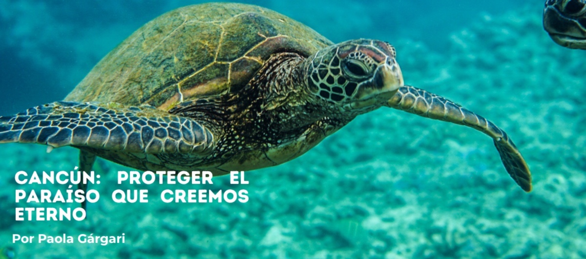 Proteger el paraíso que creemos eterno Proteger el paraíso que creemos eterno