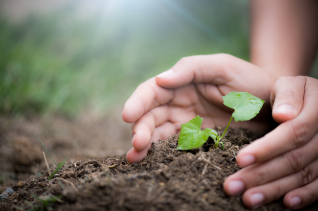 COQHCYT celebra el Día Internacional de la Madre Tierra con talleres, reforestación y actividades ambientales en los planetarios del estado