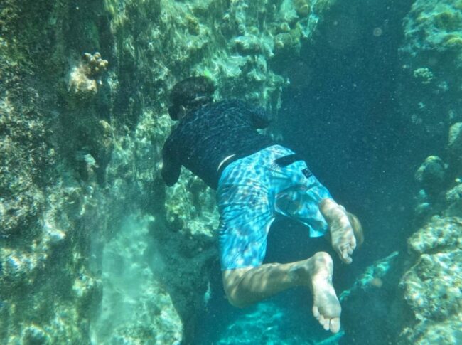 Restauración coralina en la Laguna Chankanaab muestra avances gracias al trabajo de FPMC y CEA con colonias juveniles de coral saludables