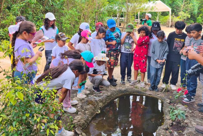 Descubriendo la Naturaleza en Cozumel con actividades lúdicas y recorridos guiados de la FPMC y PAS en el Parque Urbano Corazón.