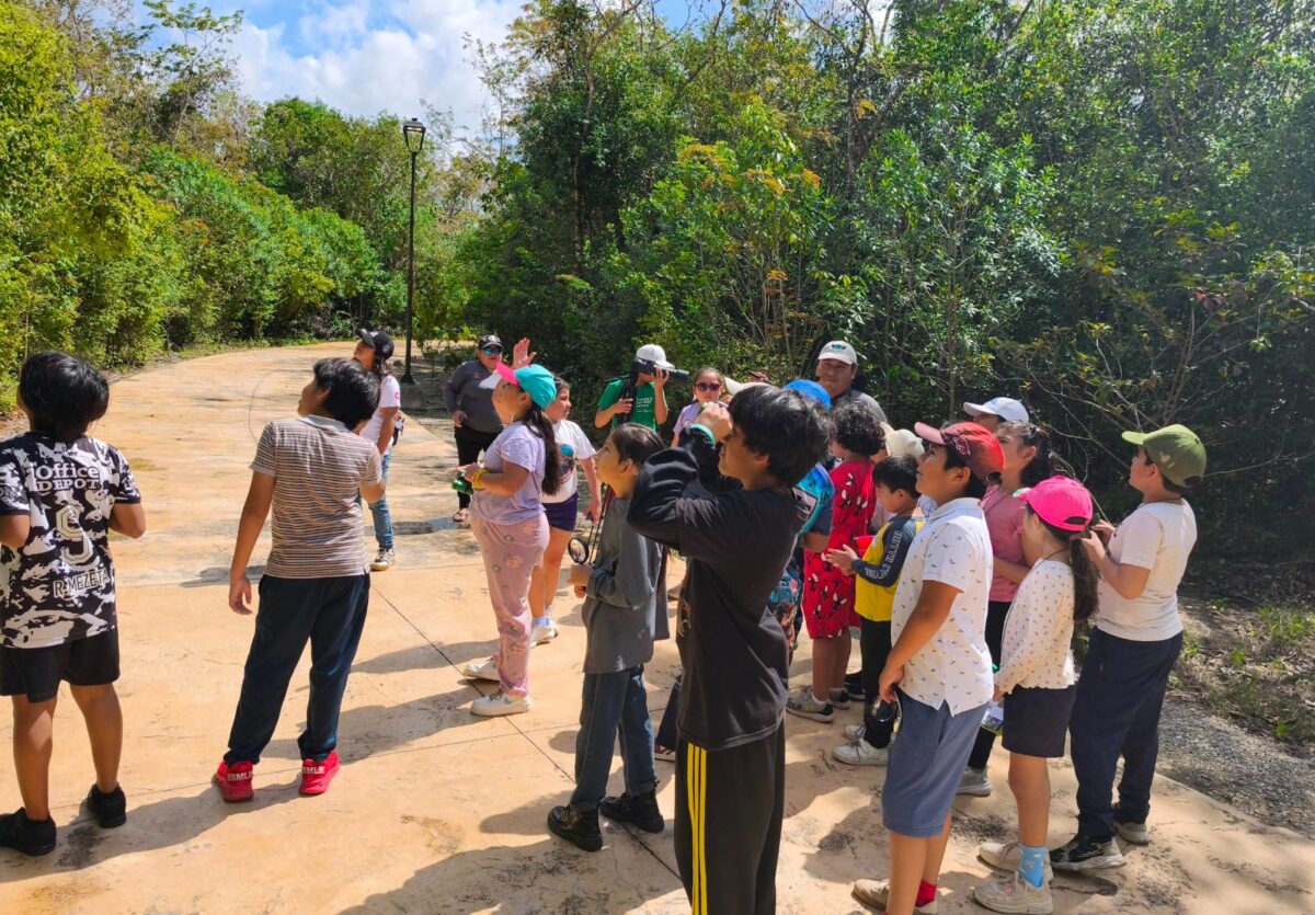 Descubriendo la Naturaleza en Cozumel Descubriendo la Naturaleza en Cozumel