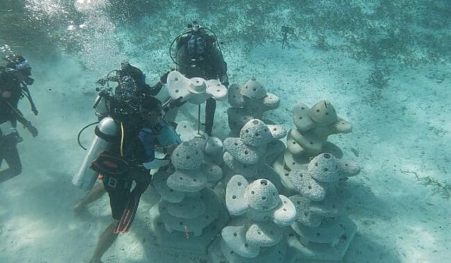 Entre velas y naturaleza: la misión ecológica de Cancún Sailing