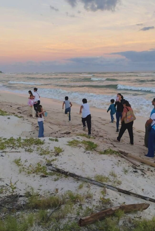 Con el primer nido de tortuga caguama en Punta Sur registrado por la FPMC inicia temporada 2026 en Cozumel y refuerza la conservación marina.