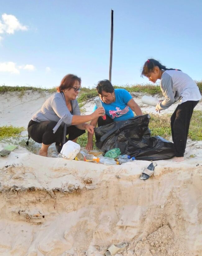 Con el primer nido de tortuga caguama en Punta Sur registrado por la FPMC inicia temporada 2026 en Cozumel y refuerza la conservación marina.