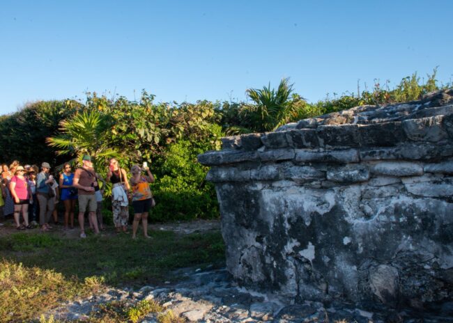 Espectáculo con experiencia única en Cozumel
