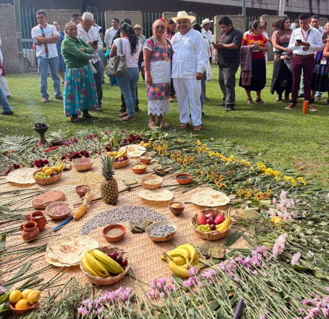 INMAYA participa en el Consejo Nacional de Pueblos Indígenas presentando programa de consulta y ley de Derechos de los Pueblos originarios.