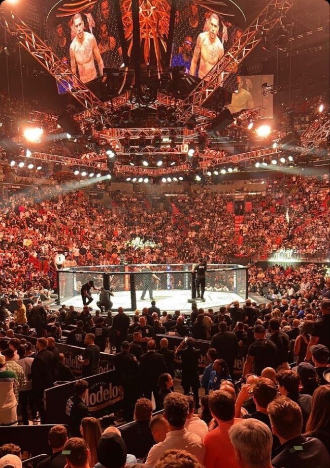 UFC combate de artes marciales mixtas en octágono.