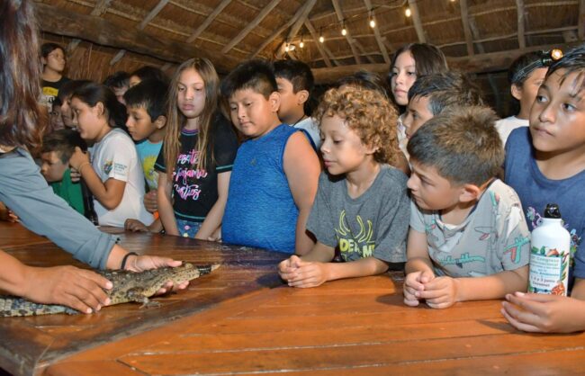 el fascinante mundo nocturno de los cocodrilos en Punta Sur con la FPMC. Ciencia ciudadana, biodiversidad y educación ambiental.