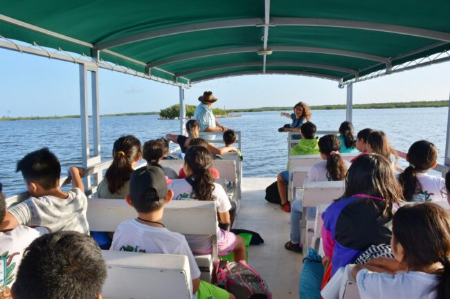 el fascinante mundo nocturno de los cocodrilos en Punta Sur con la FPMC. Ciencia ciudadana, biodiversidad y educación ambiental.