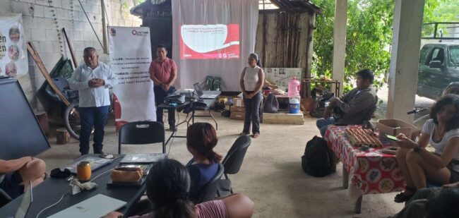 Taller para el establecimiento y manejo de meliponarios fortalece el cuidado de la abeja melipona e impulsa acciones del INMAYA.