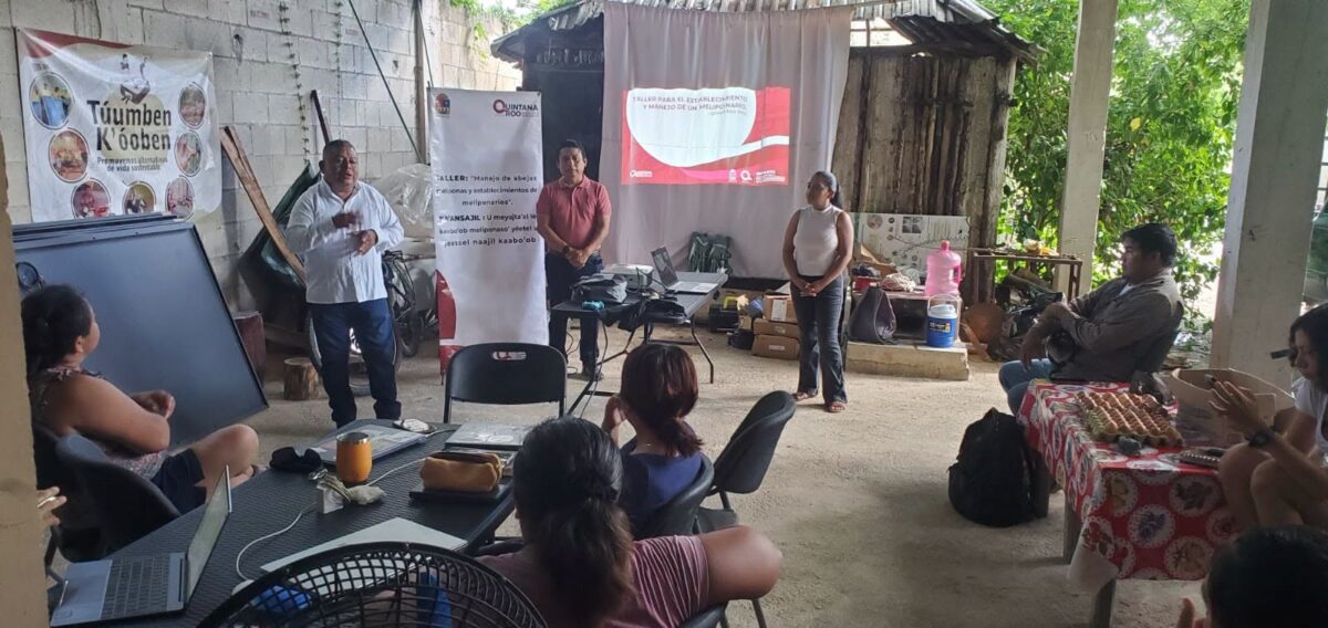 Taller para el establecimiento y manejo de meliponarios Taller para el establecimiento y manejo de meliponarios