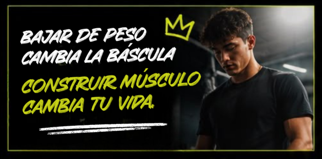 ¿Perder grasa o ganar músculo? composición corporal, masa muscular y cuerpo más fuerte y saludable. IMPACT FITNESS José Pablo Ramos Alfaro